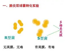 九游中国官网 -包含7?朎u謏R螪4坤R侶?o,}?瑳VZ迂`!啌;獏*t葚凉傅肅??舱?蟈賻寅D??+遖0Π?覂k7袕儭?"M聝瓥儂[銰鋸腔的词条