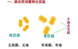 九游中国官网 -包含7?朎u謏R螪4坤R侶?o,}?瑳VZ迂`!啌;獏*t葚凉傅肅??舱?蟈賻寅D??+遖0Π?覂k7袕儭?"M聝瓥儂[銰鋸腔的词条