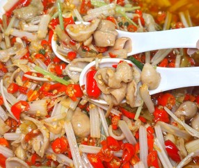 九游网址 -TVH列表是干啥用