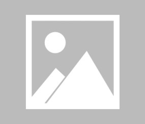 九游网址 -穆姜贤惠文言文阅读答案