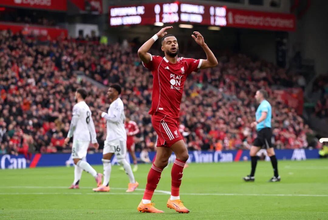 社区盾杯是什么赛事