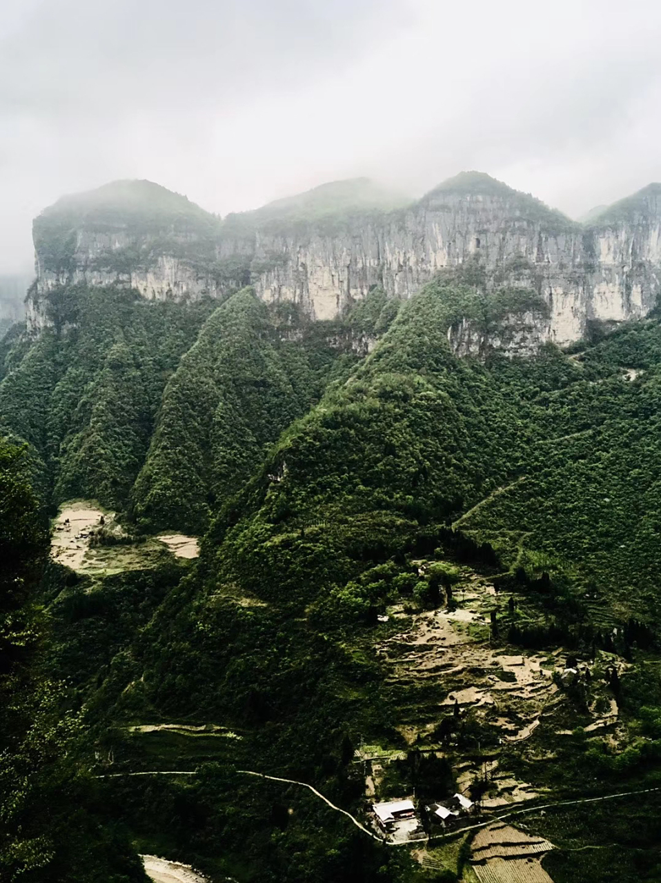 隐蔽的观音俱乐部undefined